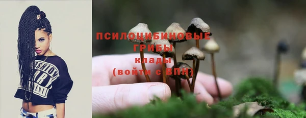таблы Белокуриха