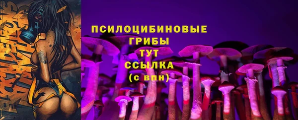 прущий лед Белоозёрский