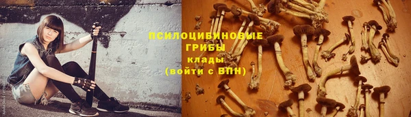 прущий лед Белоозёрский